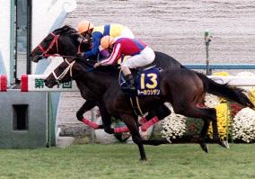 Air Shakur jockeyed by Take wins Kikka-sho